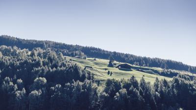 Goldener Herbst | Ein Tag eingeladen